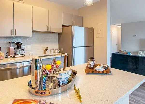 Rent Apartments in Arlington with Renovated Features and Great Views