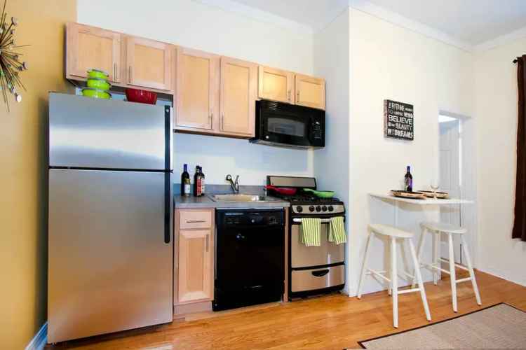 Rent Cozy Studio and One Bedroom Apartments in Lincoln Park Chicago