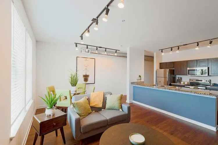 Rent Beautiful Studio and One Two Bedroom Apartments in Museum Lofts