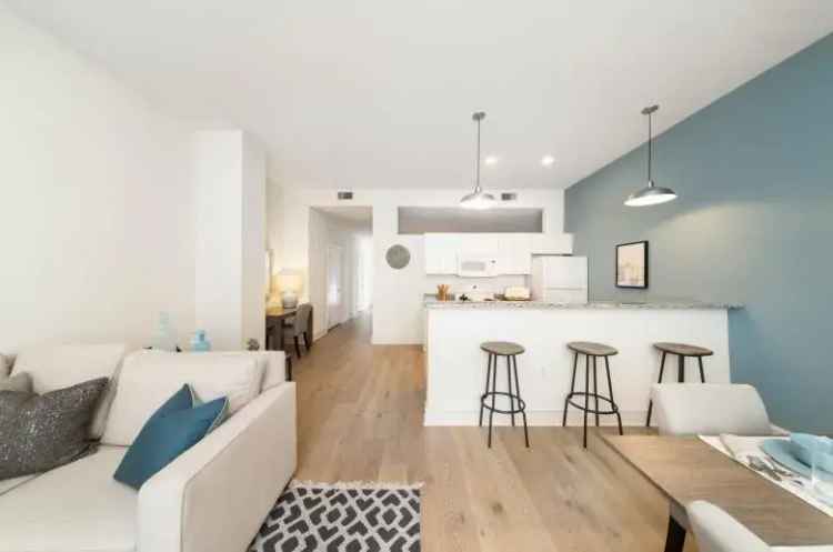 Rent Modern Apartments with In-Unit Laundry and Contemporary Amenities