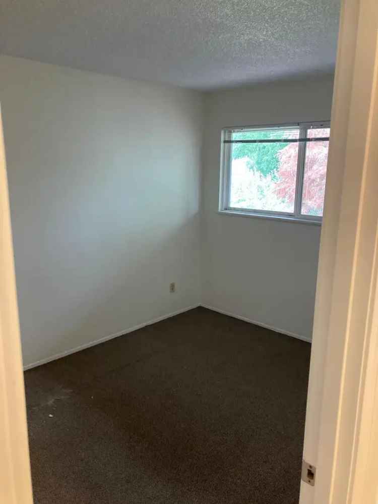 Rent Apartment Unit with New Floors and Paint near City Bus