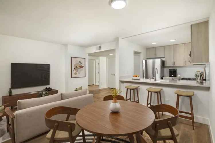 Rent Stunning Apartments in Los Angeles with City Views and Amenities