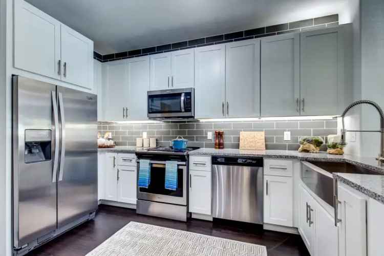 Rent Apartments in Lone Tree with Modern Amenities and Convenient Access