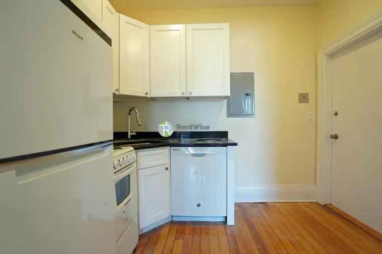 Rent Apartments in Allston with Hardwood Floors and Great Sunlight