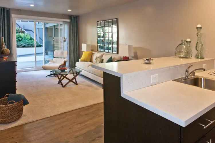 Rent Spacious Apartments in Mill Valley with Modern Finishes