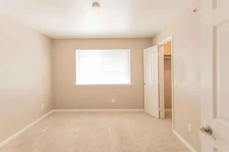 Rent Updated Apartment in Central Boulder with Mountain Views