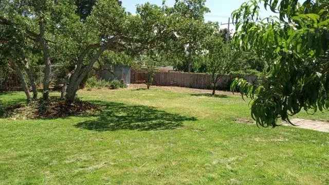 Rent House with Mountain Views and Spacious Backyard in South Ogden