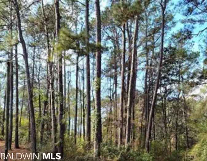 Land For Sale in 228, Ridgewood Drive, Daphne, Alabama