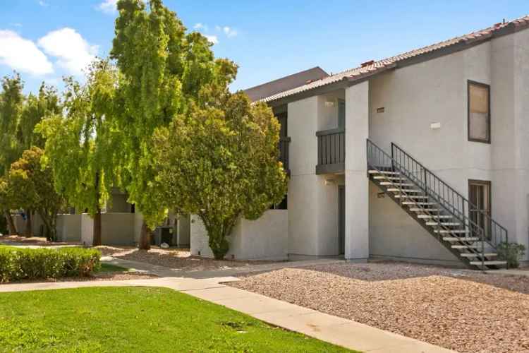 Rent Apartments in North Phoenix with Stylish Interiors and Amenities