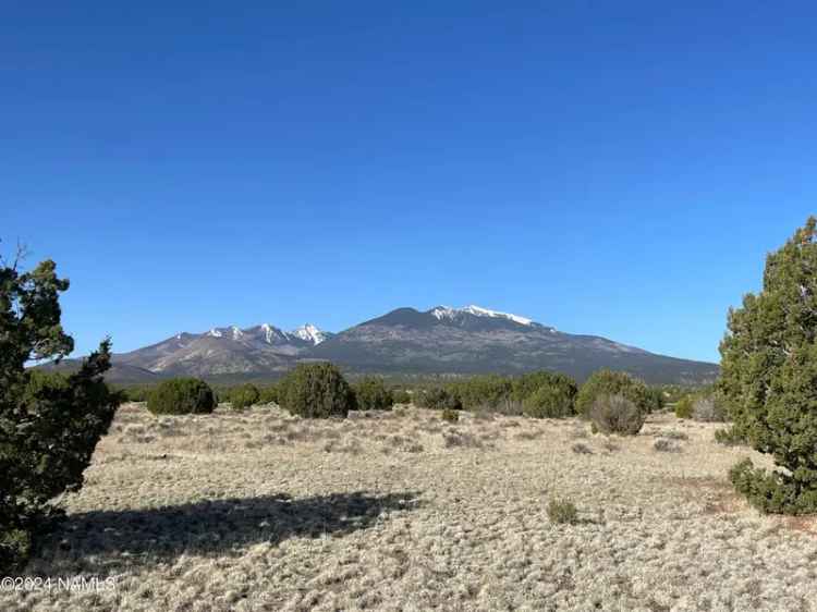 Buy Land in Rural Paradise Surrounded by National Forest with Stunning Views