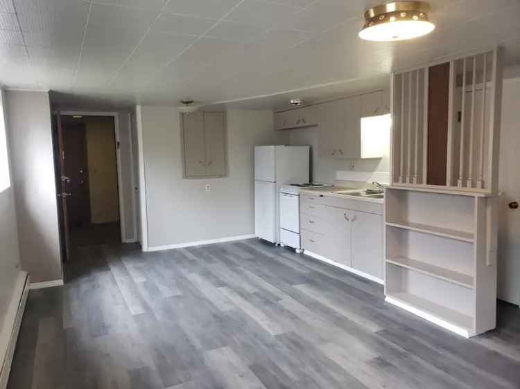 Apartment for Rent Studio in Spokane with Privacy Wall