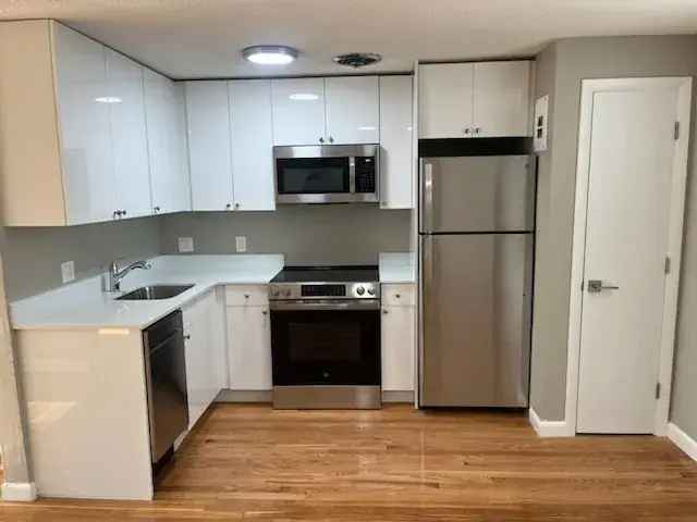 Rent Updated 2 Bedroom Apartment in Prime Jamaica Plain Location