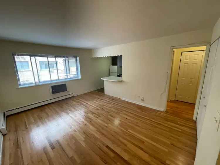 Rent Spacious Studios and One Bedroom Apartments in Lakeview