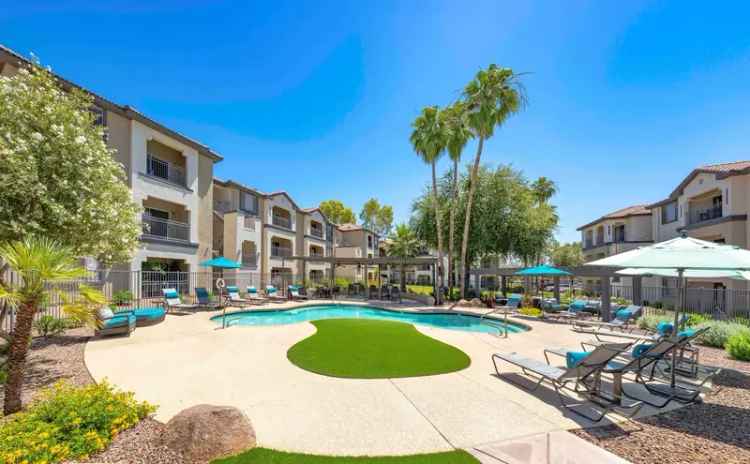 Rent Apartments in Mesa AZ with Luxurious Views and Great Amenities