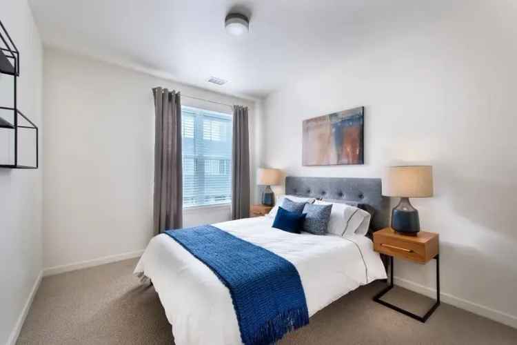 Luxury Apartments for Rent in Denver with Modern Amenities