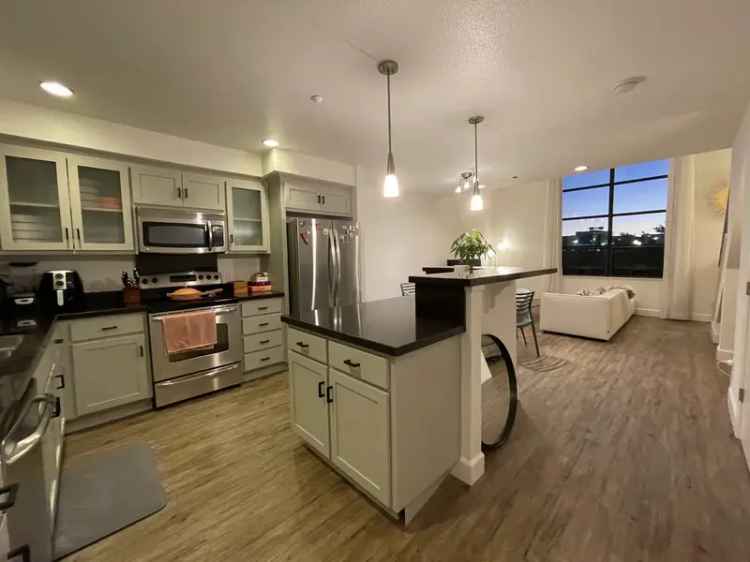 Rent Apartment Unit in Walkable Palo Alto with Spacious Kitchen and Natural Light