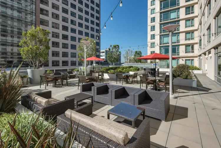 Rent Modern High Rise Apartments in Oakland with Scenic Views