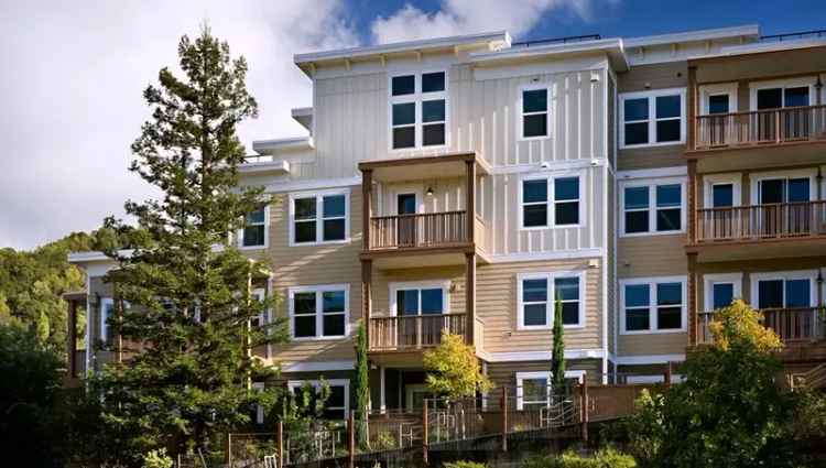 Rent Apartments in Marin with Convenient Access to Napa and Sonoma