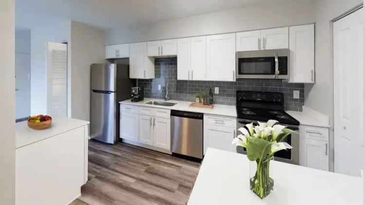 Rent Apartments in Northeast Indianapolis with Modern Features