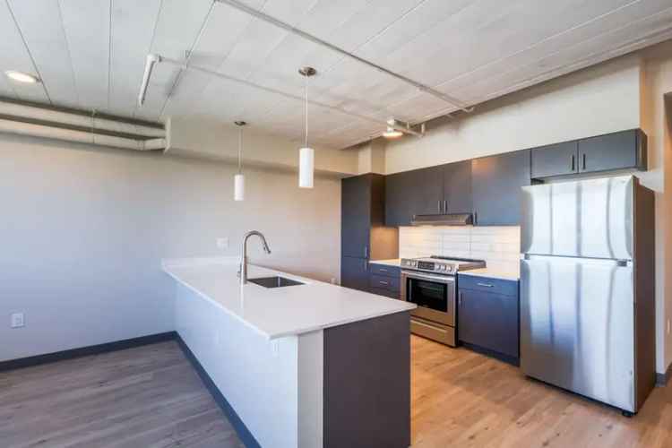 Rent Luxury Apartments in Denver's Art District with Modern Features