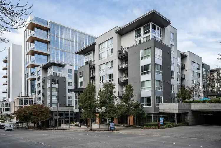 Rent Apartments in Bellevue WA with Modern Features and Amenities