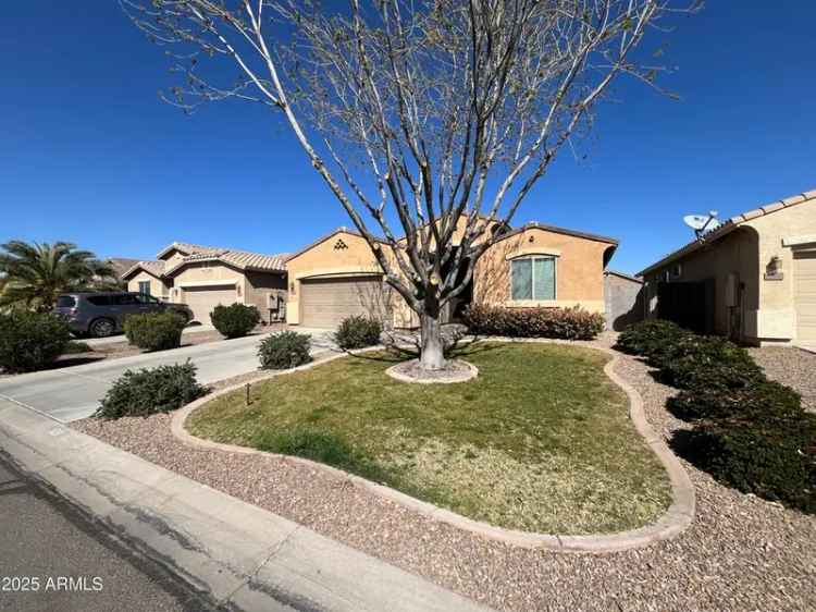 Buy Single Story Home in San Tan Valley with 4 Bedrooms and 2 Bathrooms