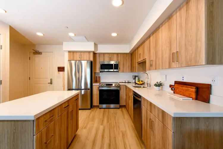 Rent Pet-Friendly One and Two Bedroom Apartments in La Mesa CA