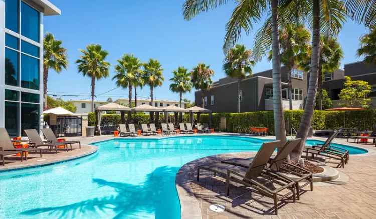 Rent Modern Apartments in Venice with Resort Style Amenities