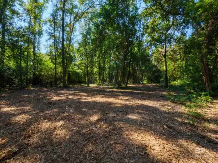 Buy Land in Fairhope with Mature Trees and Residential Zoning