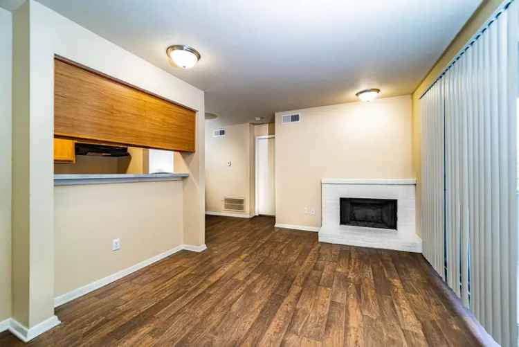 Rent Apartments in Fort Worth with Pet Friendly Features