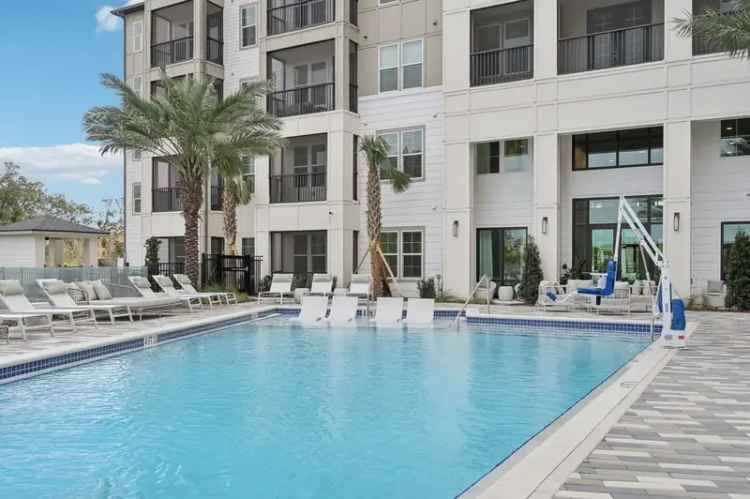 Rent Apartments in Sarasota with Modern Interiors and Amenities