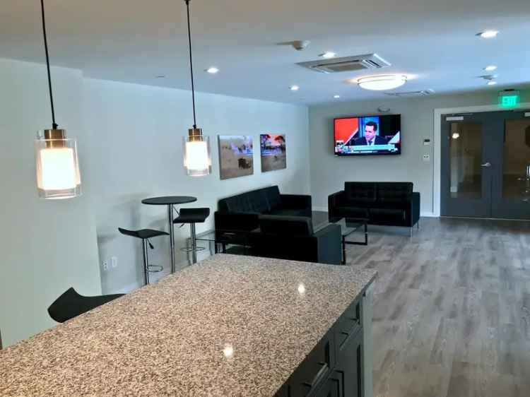 Luxury Apartments for Rent in Stonefield with Modern Amenities