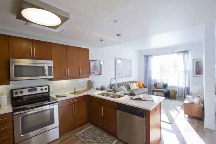 Rent Apartments in Denver with Rooftop Views and Luxury Amenities