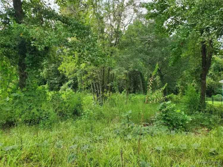 Land For Sale in Newton, Alabama