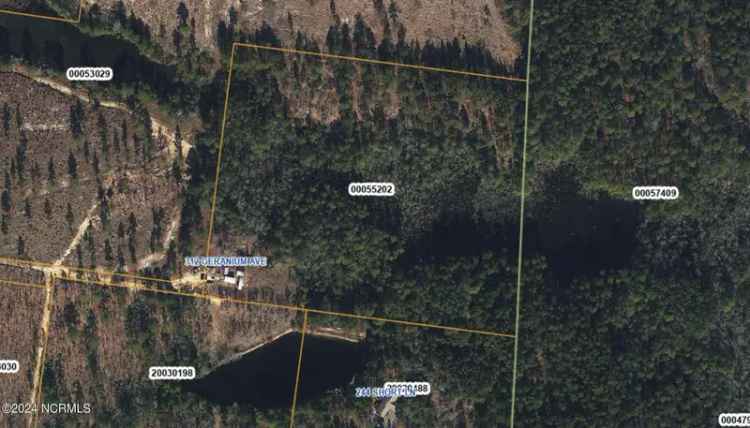 Buy Land with Lake Access and Tall Pines