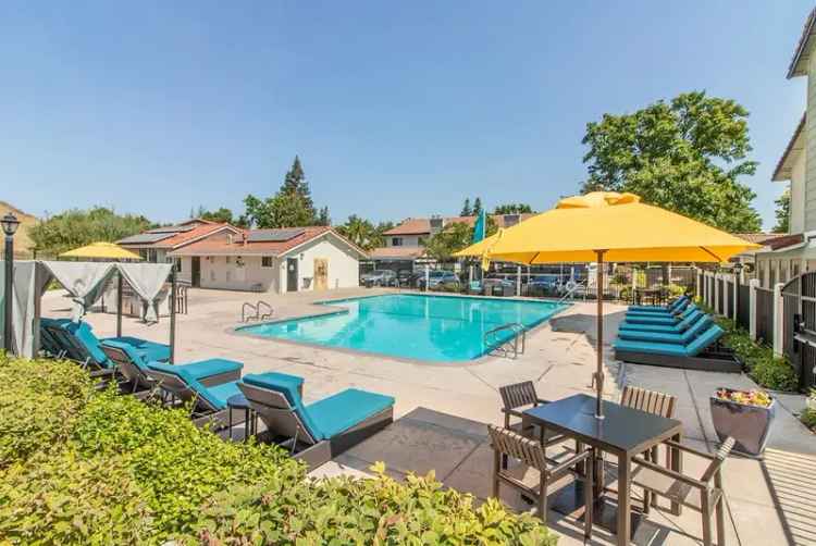 Apartments for Rent in San Ramon with Modern Features and Amenities