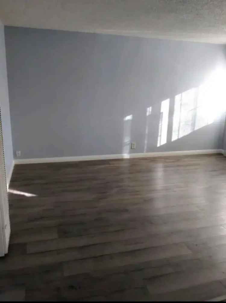 Rent Apartment Unit Near 710 Freeway with Newer Features