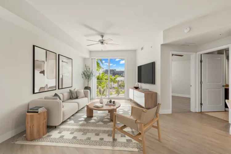 Rent Apartments in Miami with Modern Style and Comfort