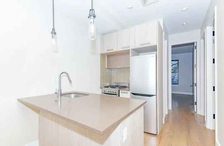 Luxury Spacious 3 Bed Apartment for Rent in Bedford-Stuyvesant with Backyard