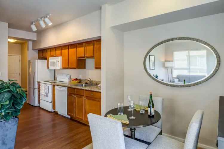 Rent Apartments in U District with Rooftop Terrace and Courtyard