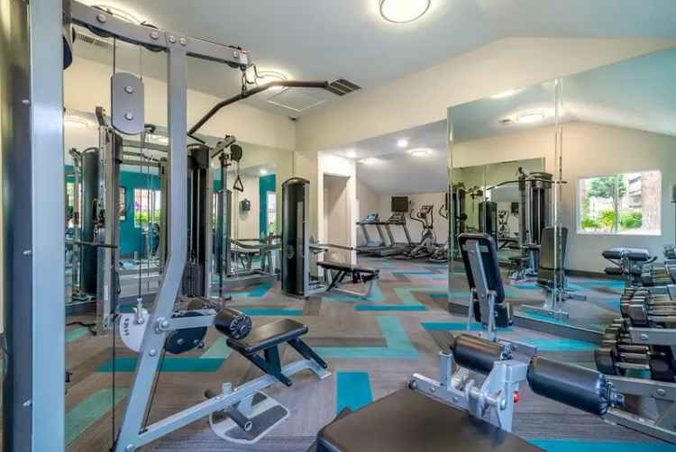 Rent Apartments in Simi Valley CA with Modern Features and Amenities