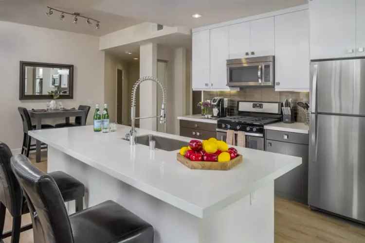 Rent Luxury Apartments in Downtown Los Angeles with Modern Amenities