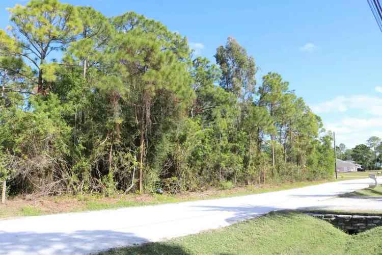 Build Your Dream Home on 1.15 Acres of Vacant Land in Palm Beach