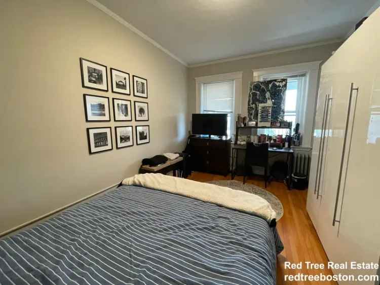 Rent Apartment Unit in Brighton with Downtown Boston Views