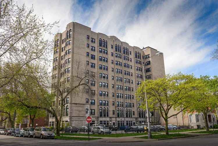 Rent Apartments in Hyde Park Chicago with Modern Features and Amenities