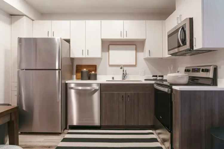 Rent Apartments in Sacramento with Stylish Features and Pet Spa