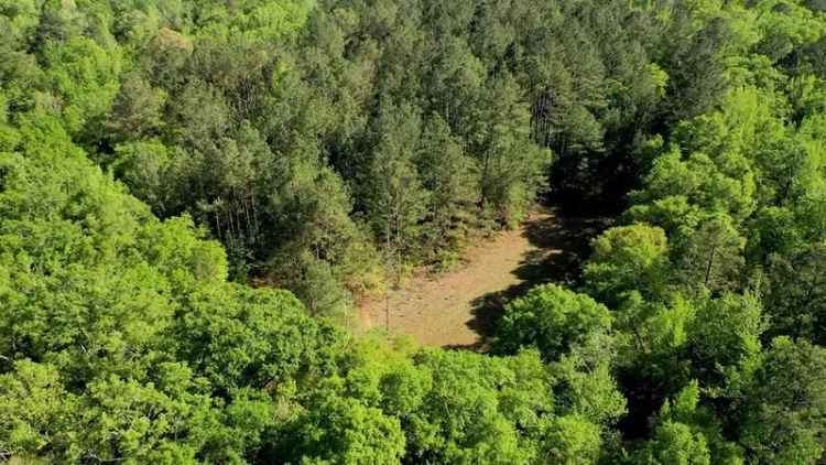 Buy Land in Eufaula with Beautiful Mature Pines and Spring-fed Pond