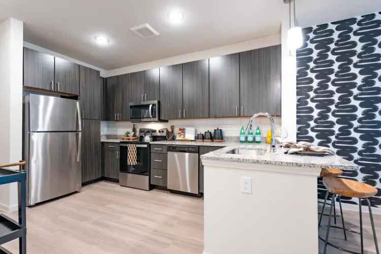 Rent Affordable Pet Friendly Apartments in Austin with Modern Amenities