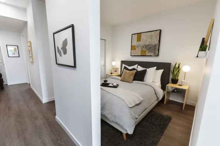 Rent Apartments in Seattle with Spacious Floorplans and Great Amenities