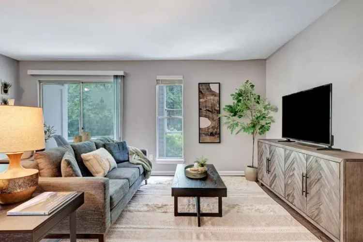 Rent Apartments in Durham with Modern Amenities and Pet Friendly